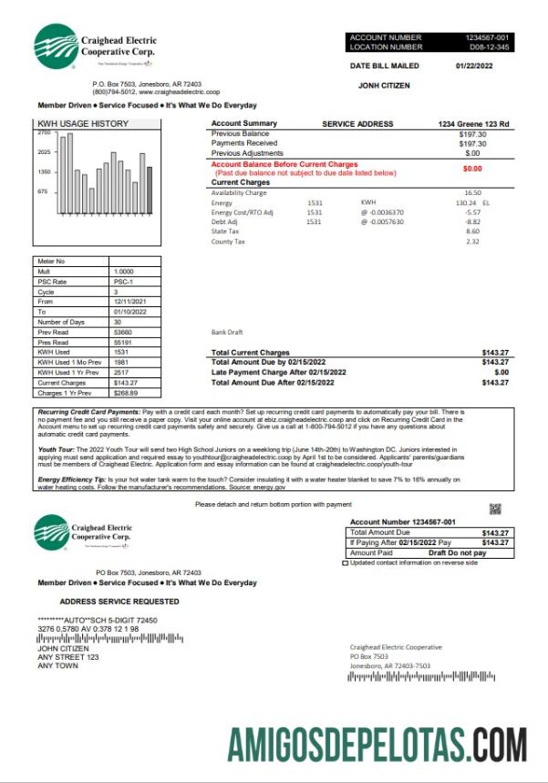 Em branco modelo de conta de serviços públicos Craighead dos EUA em formato Word e PDF